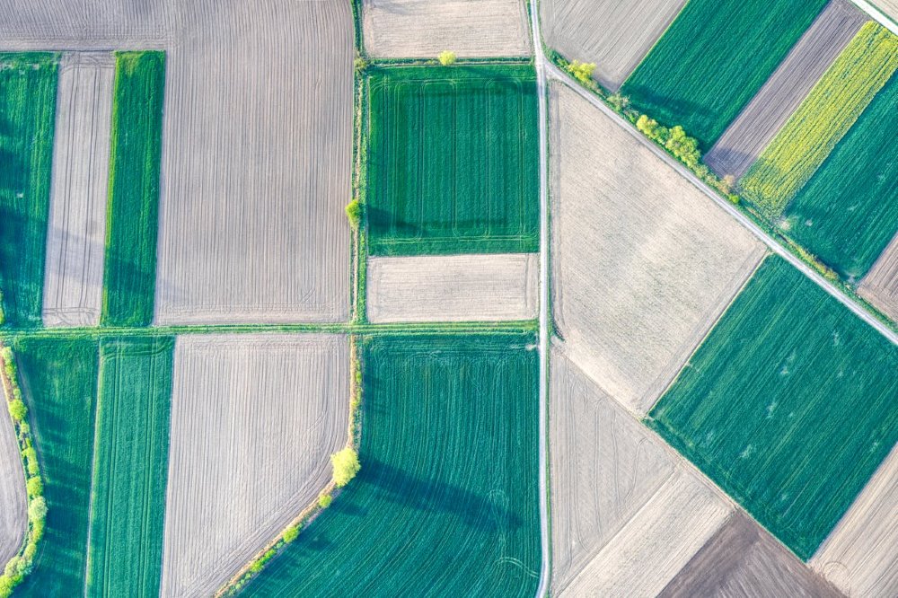 1 hektar ile to m2 działki rolnej 1 ha - ile to m2 działki rolnej