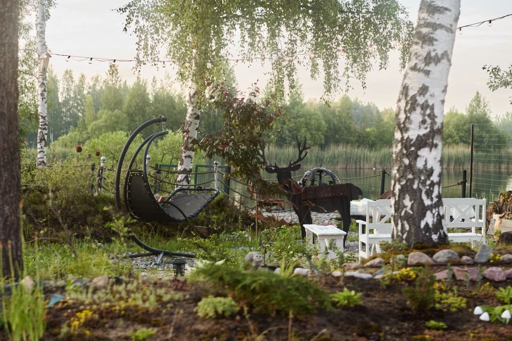 kompozycje brzozy w ogrodzie w stylu skandynawskim