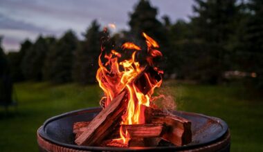 ognisko w ogrodzie z kamieni