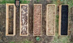 kompostownik z palet w ogrodzie