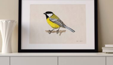 Ilustracje z ptakami