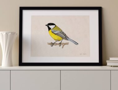 Ilustracje z ptakami