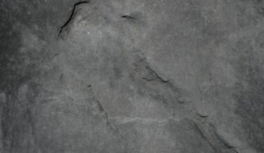 nowoczesne schody wejściowe