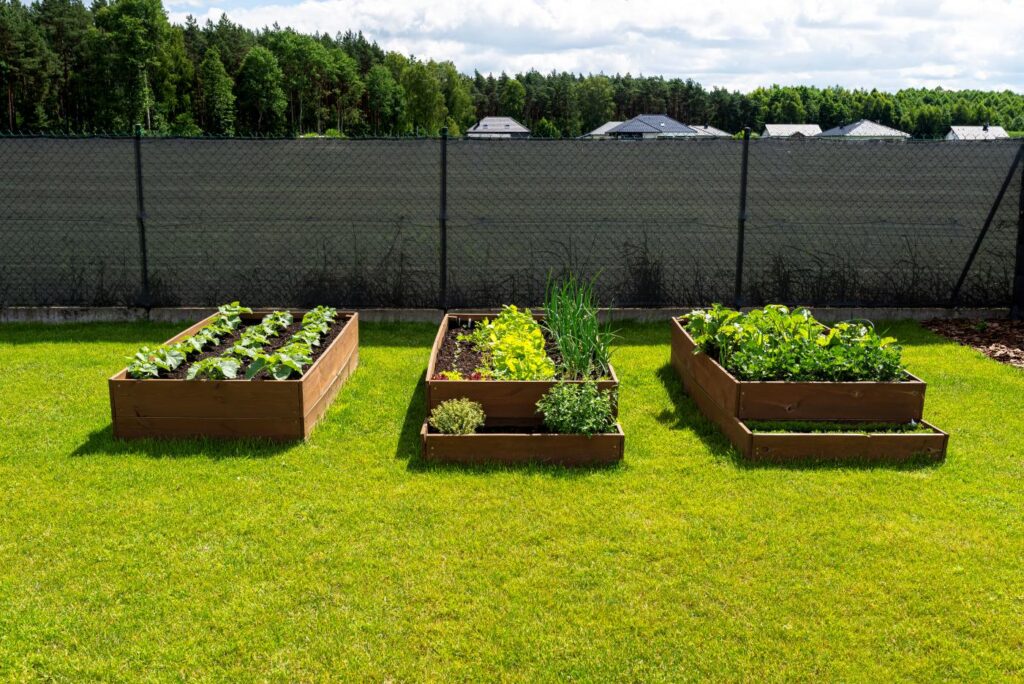 jak zrobić skrzynie na warzywa do ogrodu