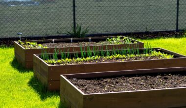 jak zrobić skrzynie na warzywa