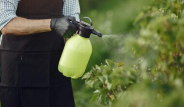 Ile miedzianu na 10 litrów wody